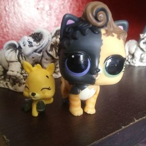 Meet your Posher, Juliet